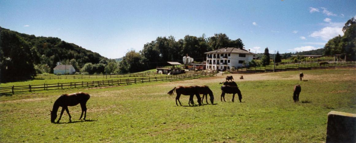 Favetto Family Ranch Bed and Breakfast Rueglio Εξωτερικό φωτογραφία
