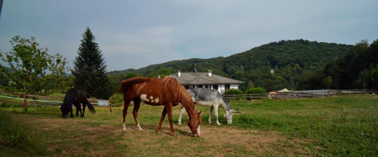 Favetto Family Ranch Bed and Breakfast Rueglio Εξωτερικό φωτογραφία
