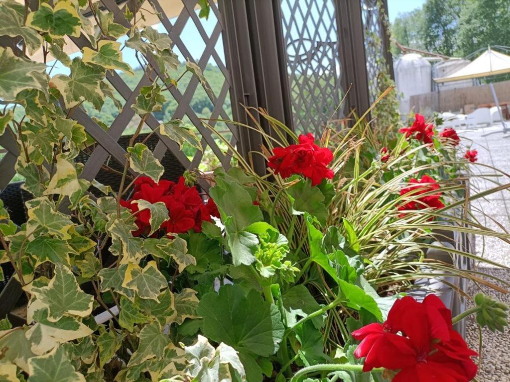Favetto Family Ranch Bed and Breakfast Rueglio Εξωτερικό φωτογραφία