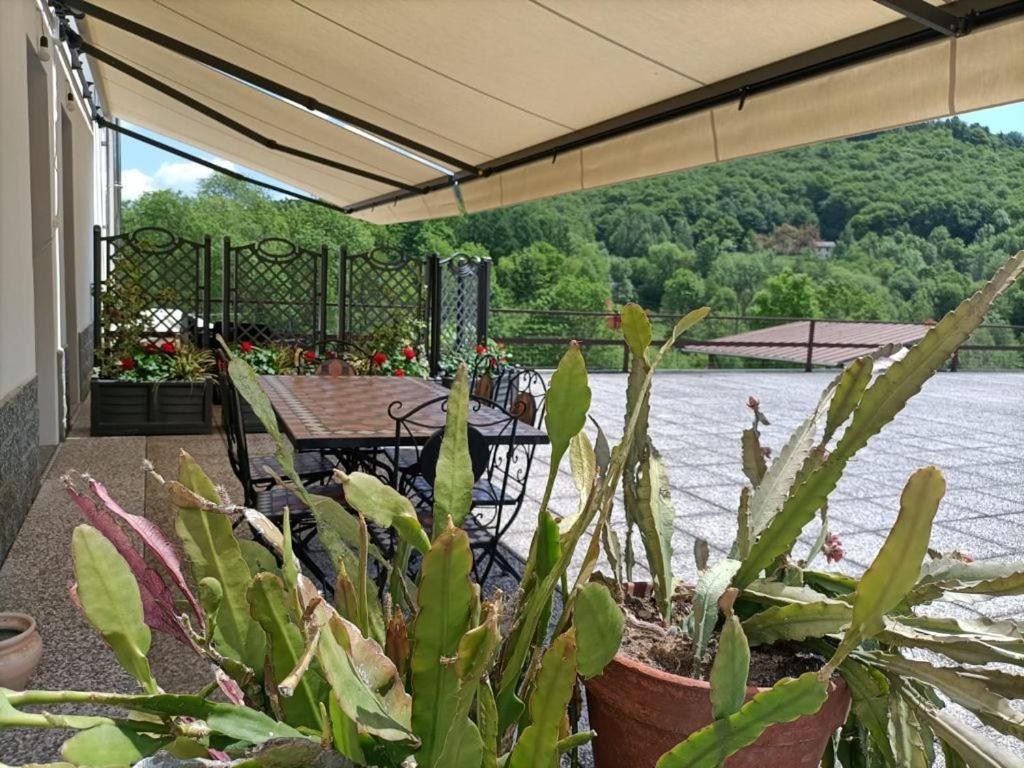 Favetto Family Ranch Bed and Breakfast Rueglio Εξωτερικό φωτογραφία