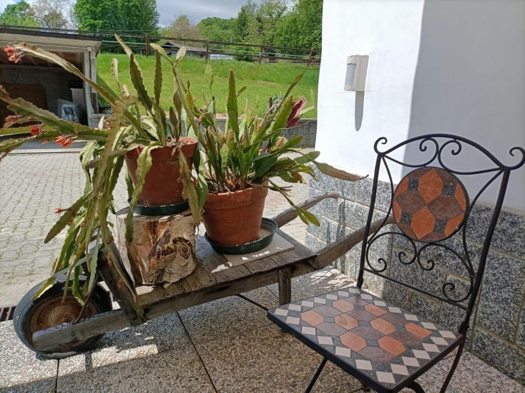 Favetto Family Ranch Bed and Breakfast Rueglio Εξωτερικό φωτογραφία