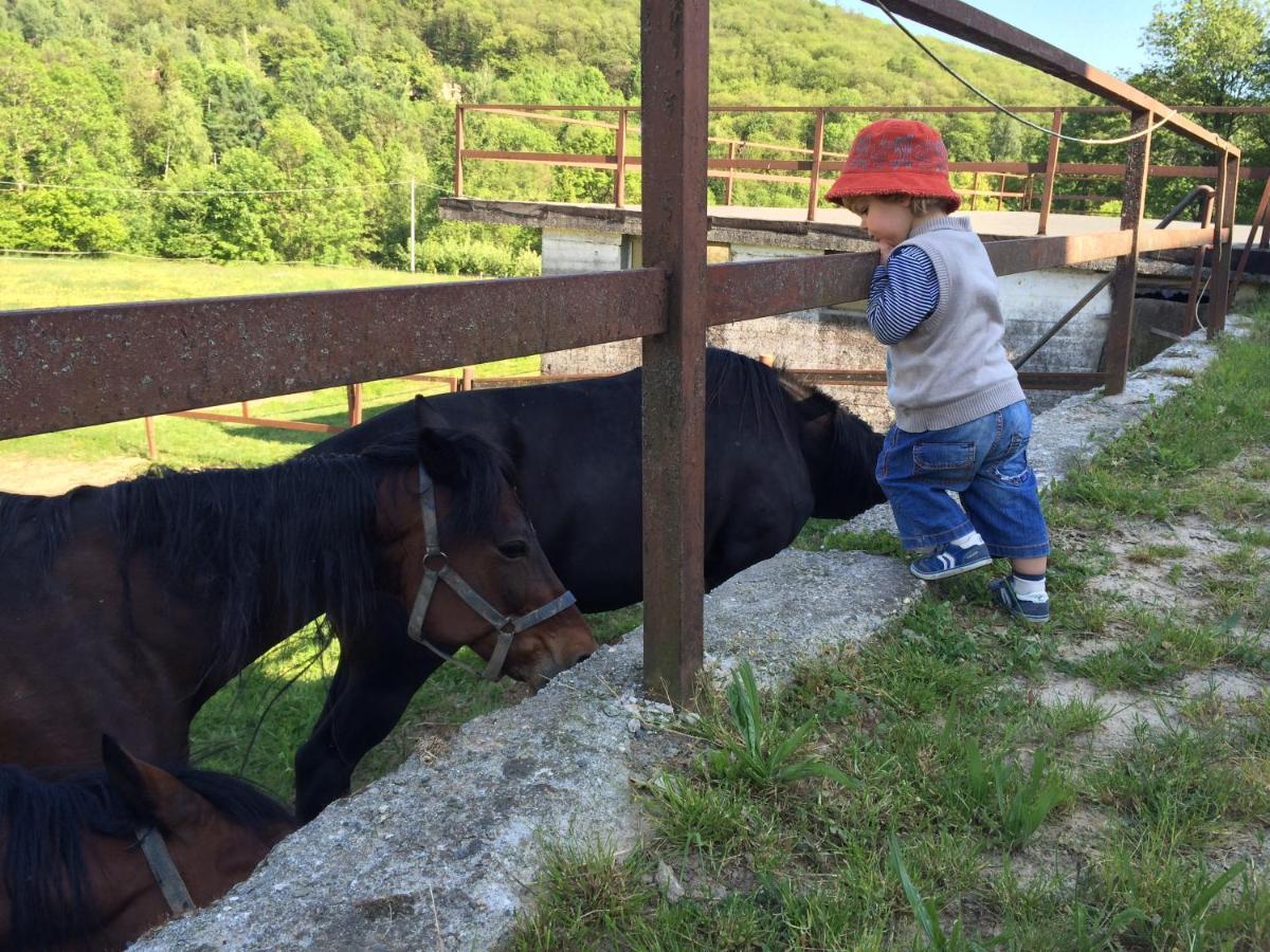 Favetto Family Ranch Bed and Breakfast Rueglio Εξωτερικό φωτογραφία